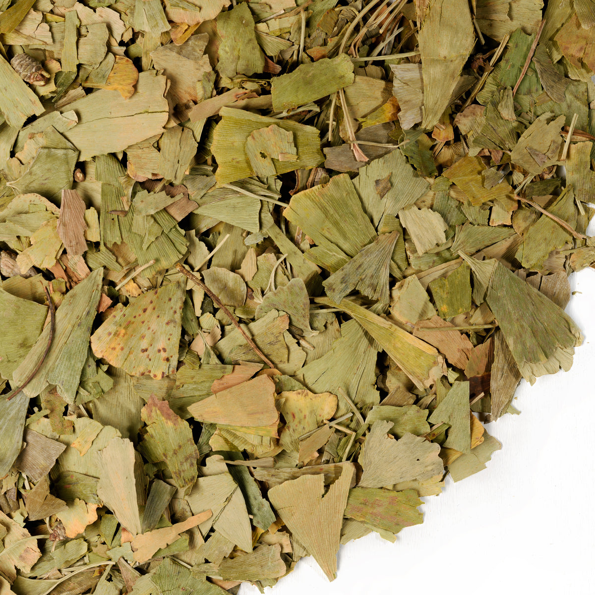 Ginkgo Biloba & Sanddorn-Blätter 