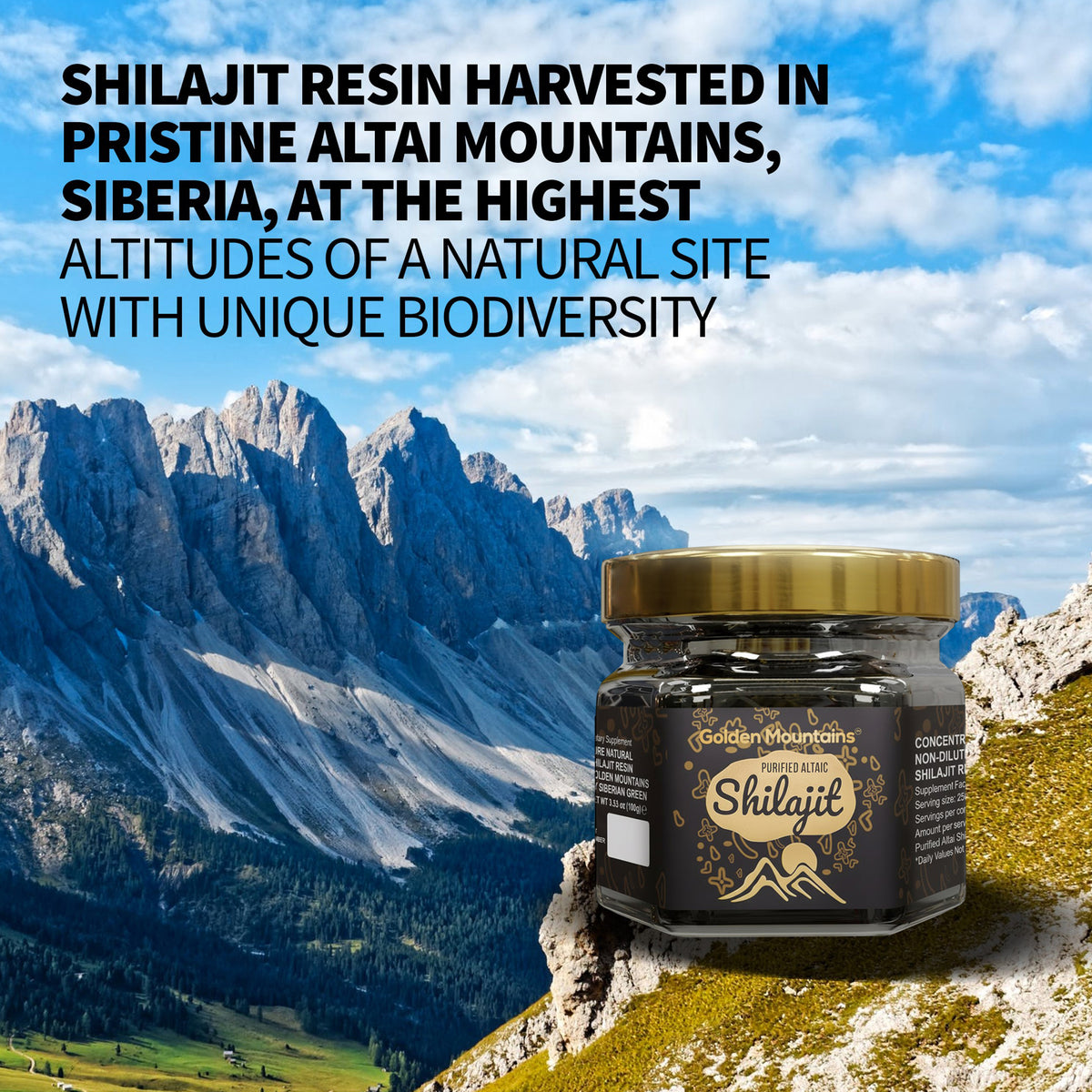 Golden Mountains Shilajit Harz - Reine altai-sibirische Kraft